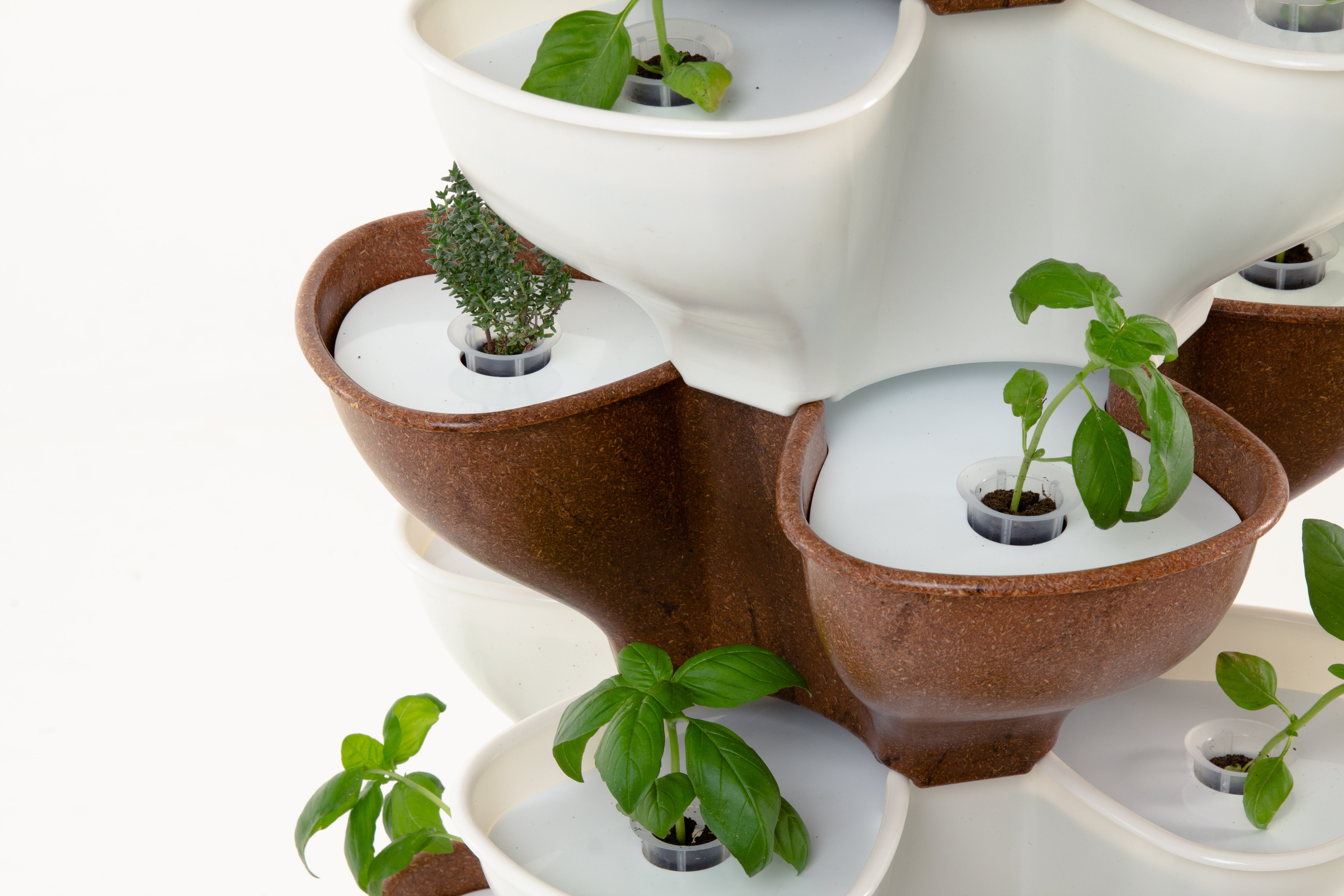 Clovy: the IoT vertical garden that teaches you to grow outdoor and indoor