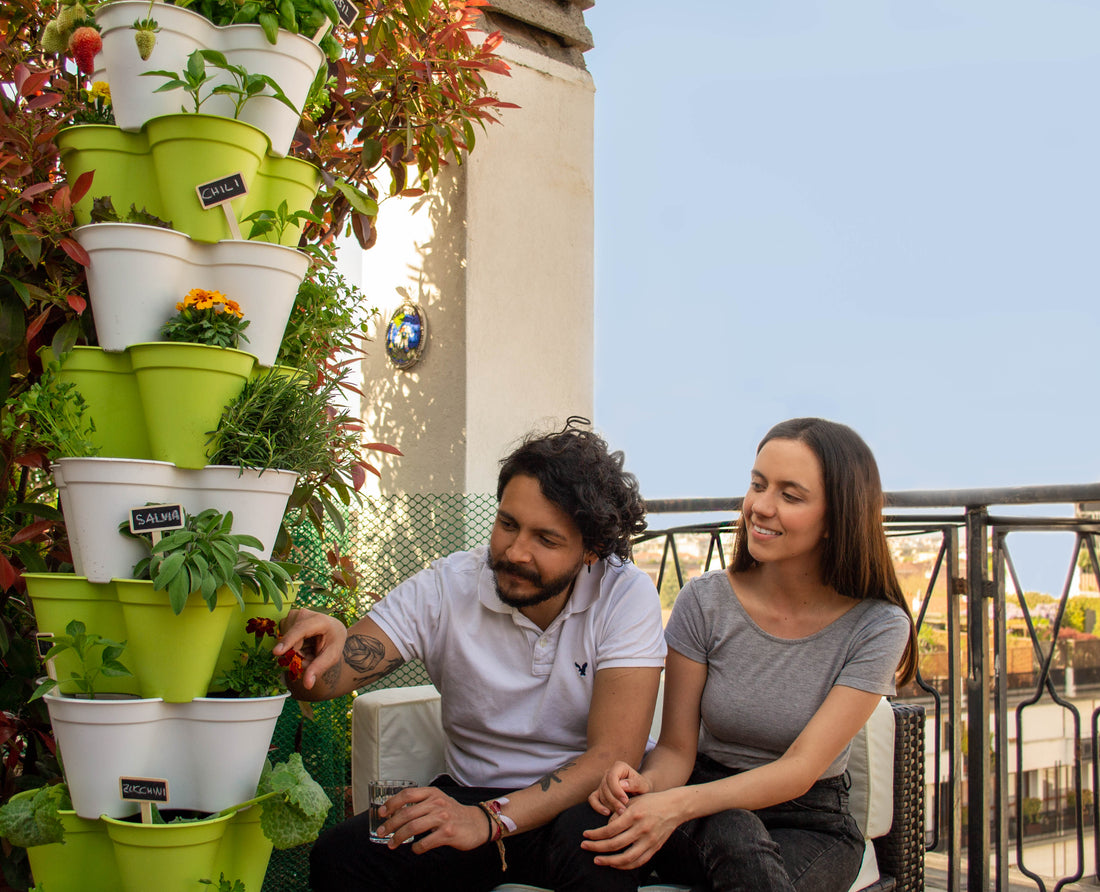 Come posizionare le piante sull'orto da balcone